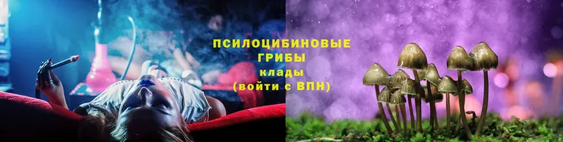 Псилоцибиновые грибы мухоморы  mega ссылки  Курчалой 